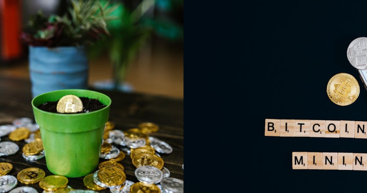 Bitcoin’s Market Potential May Surpass Gold Amid