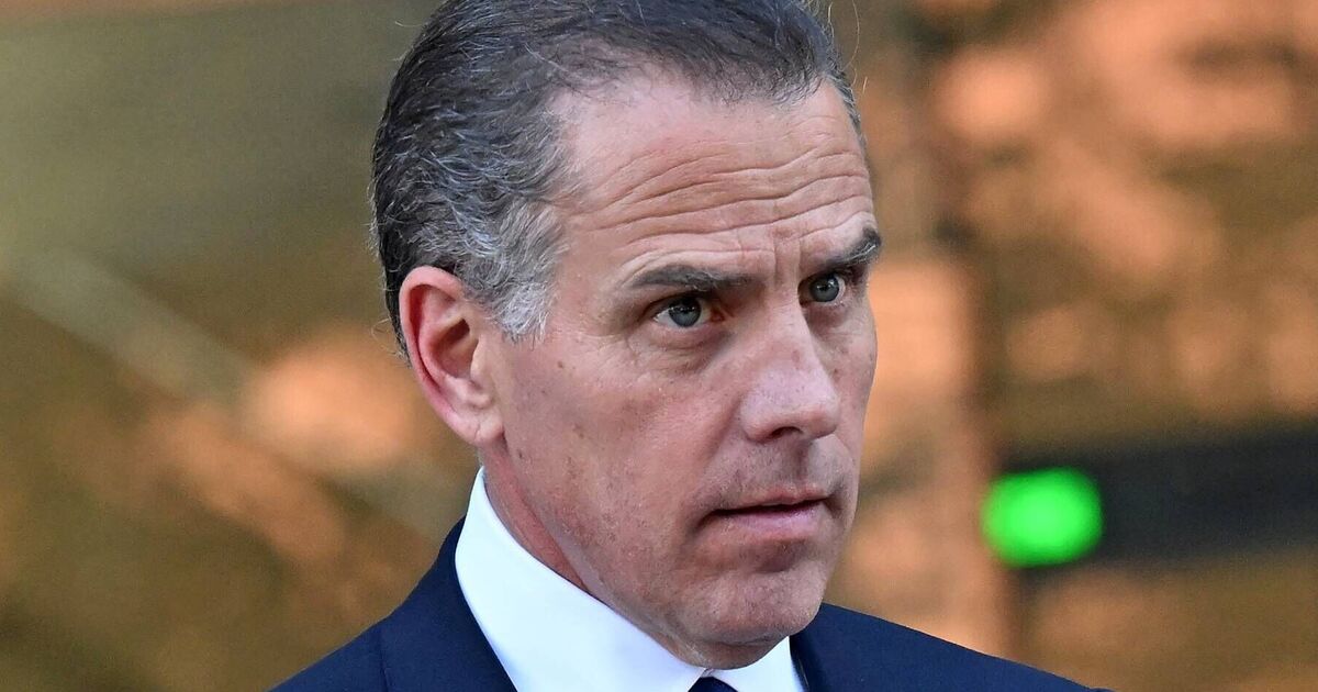 Hunter Biden challenges Trump sons Eric and Donald | Political News