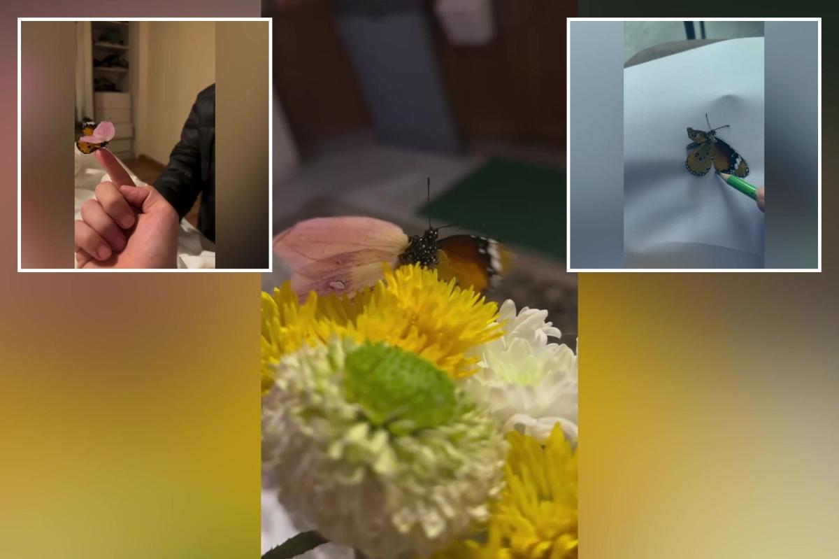 Man uses dried flower petals to create prosthetic | Lifestyle News