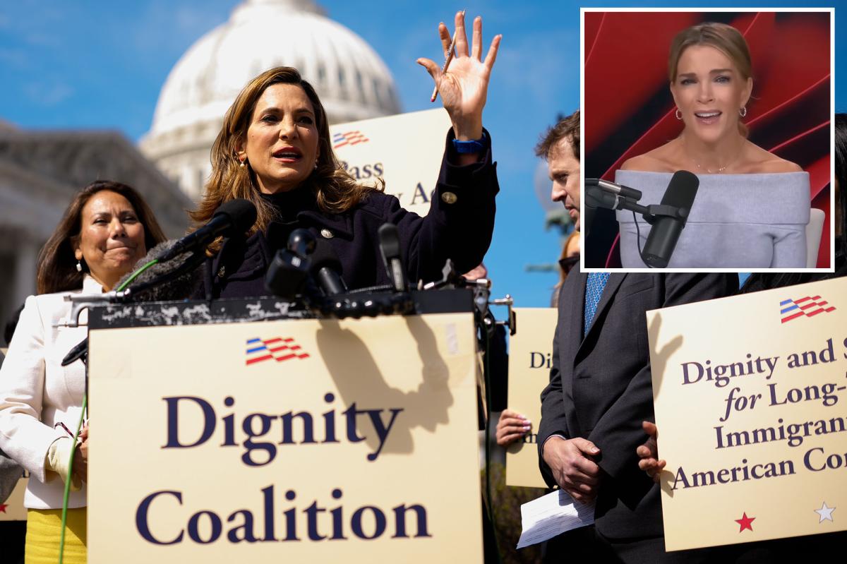 Megyn Kelly slams GOP reps backing amnesty for | Gossip Wire