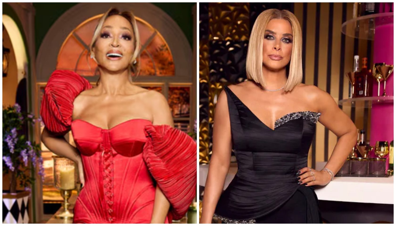 #RHOP Season 11 Cast Reveals Karen Huger & | Gossip Wire