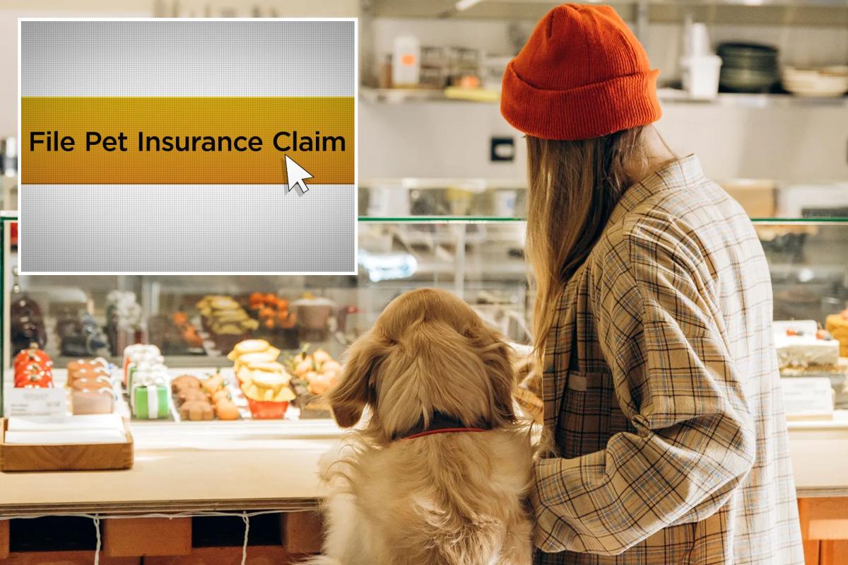 The true cost of being a pet parent in 2026: What | Lifestyle News