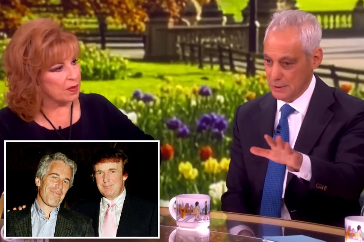 'The View' hosts ask Rahm Emanuel if Trump started | Gossip Wire