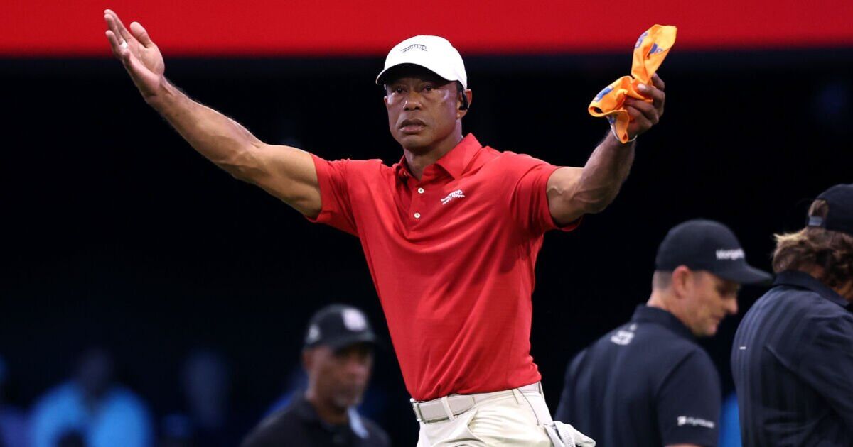 Tiger Woods' net worth and astonishing career | Golf News