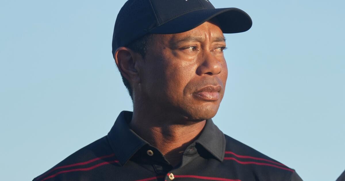 Tiger Woods pleads not guilty to DUI, says he will
