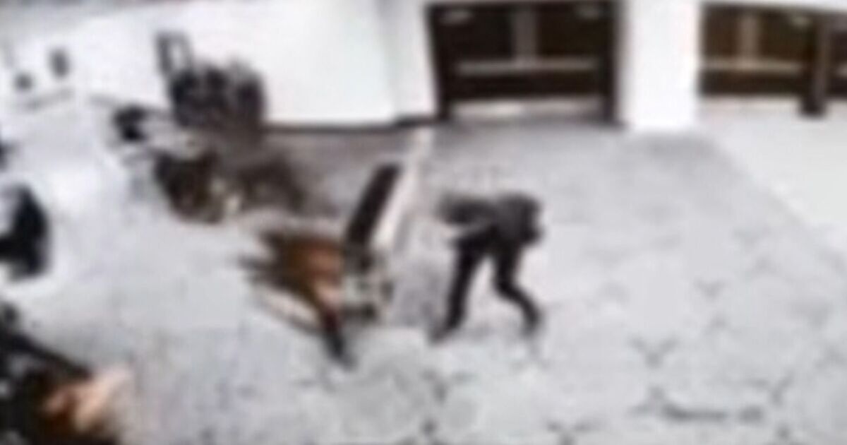 WHCD shooting suspect was hotel guest with | Political News