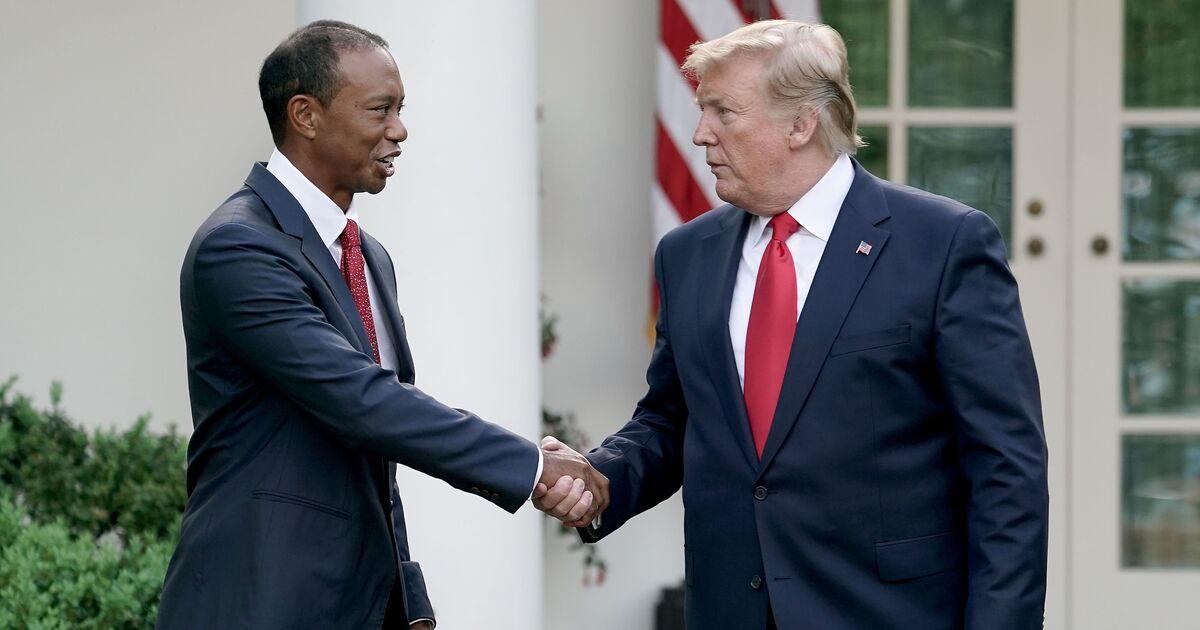 Woods' relationship with Donald Trump explained | Golf News
