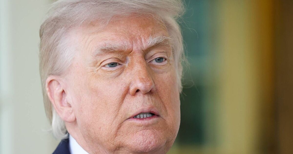 Dems humiliated as theyre shown up for stupid | Political News