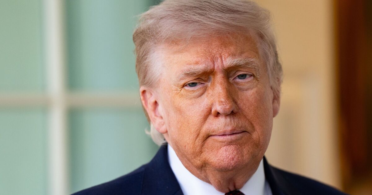 Fox News halted for breaking Trump alert and its worst | UK News