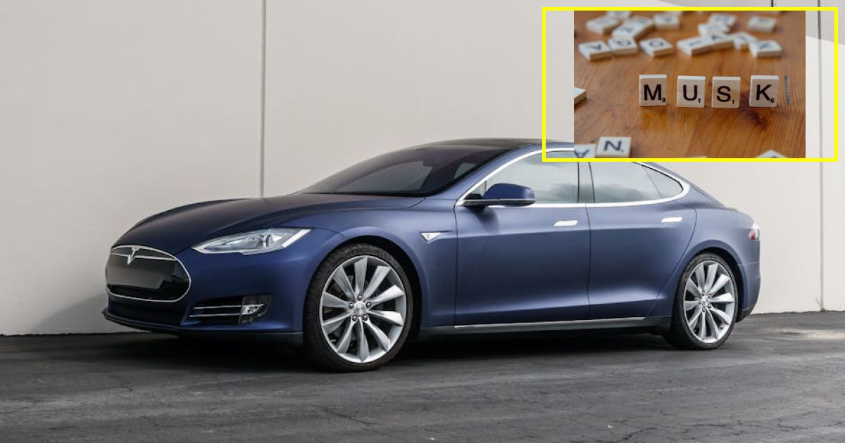 Elon Musks long-awaited courtroom battle with Sam Altman poised to spill Silicon Valley dirt