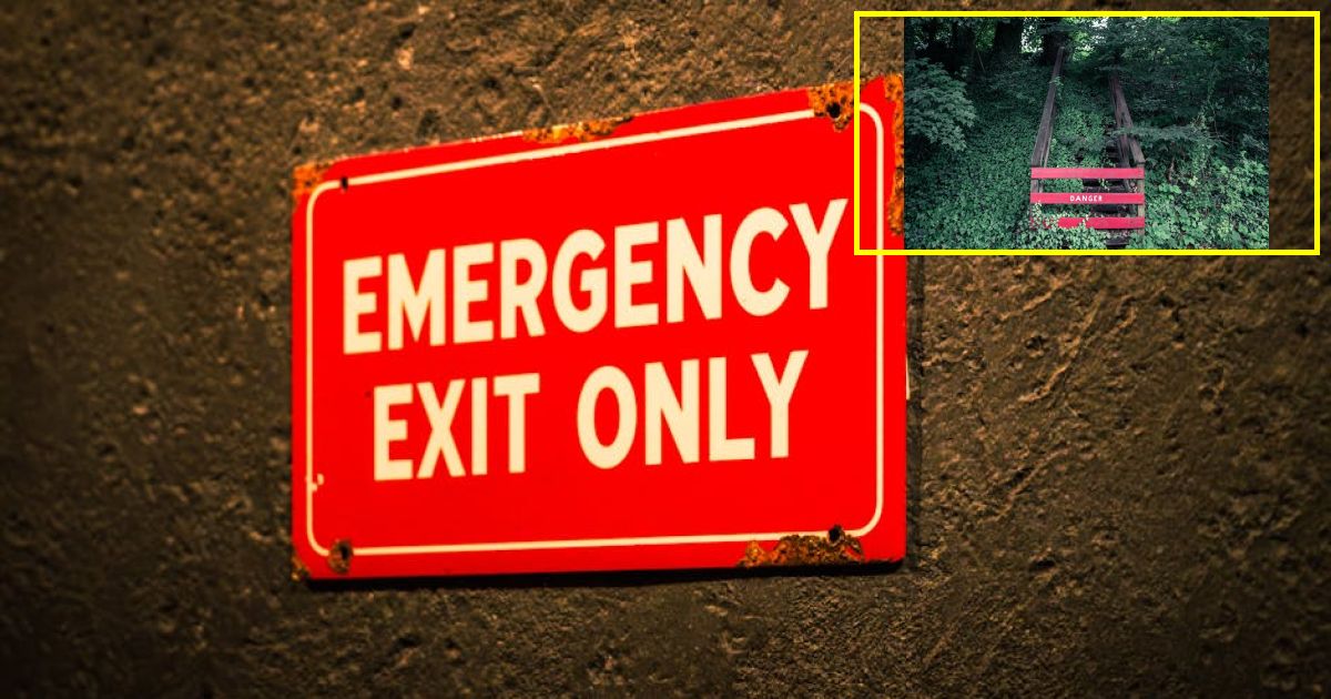 Dangerous AI 'escapes' and deletes entire company's database