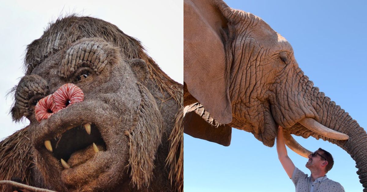 Jonathan, the giant tortoise, the worlds oldest living land animal is alive…