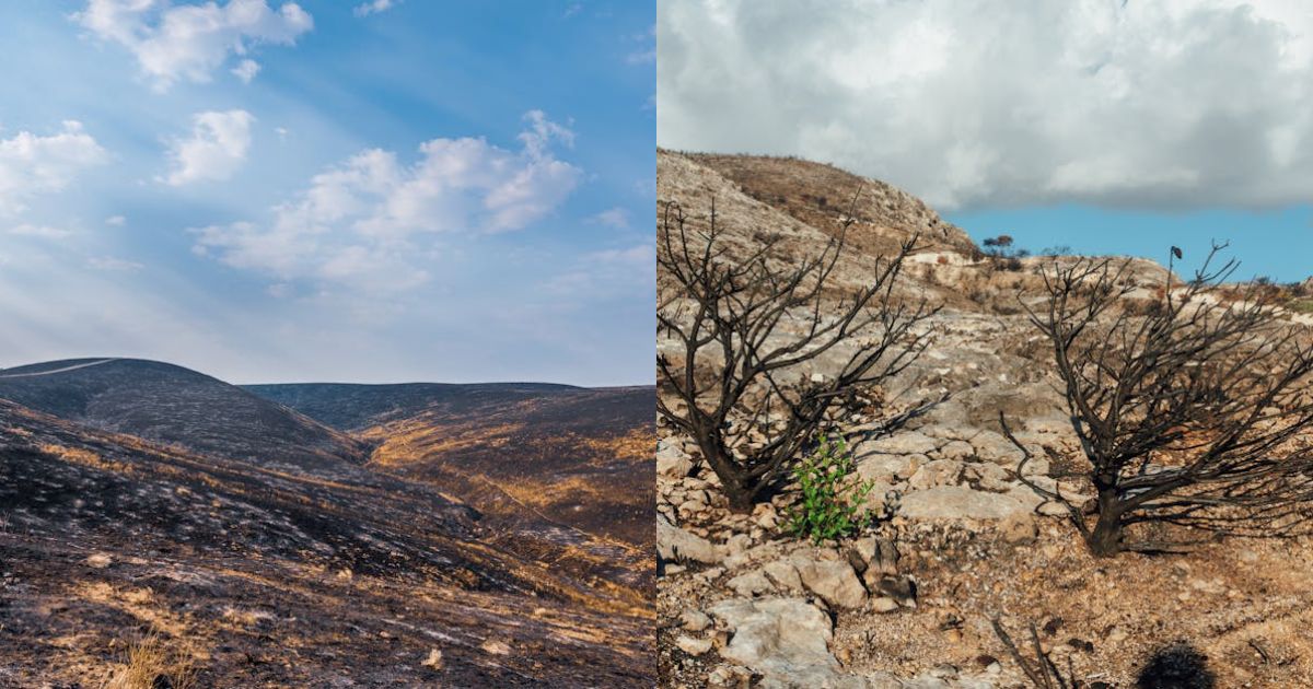 Solana (SOL) Recovery Faces Roadblocks, Can Bulls