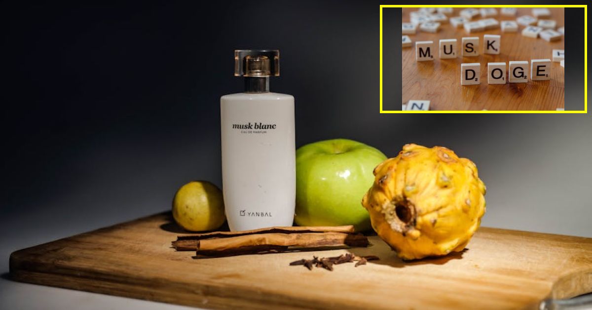 Musk and OpenAIs lawyer share testy exchange