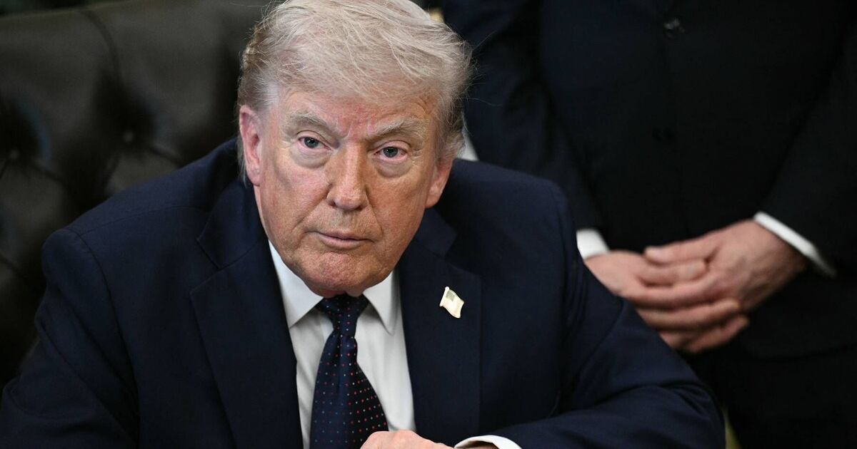 GWN expert issues Democrats midterm warning just | TV Shows