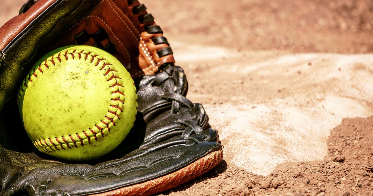 High school baseball and softball: Fridays scores