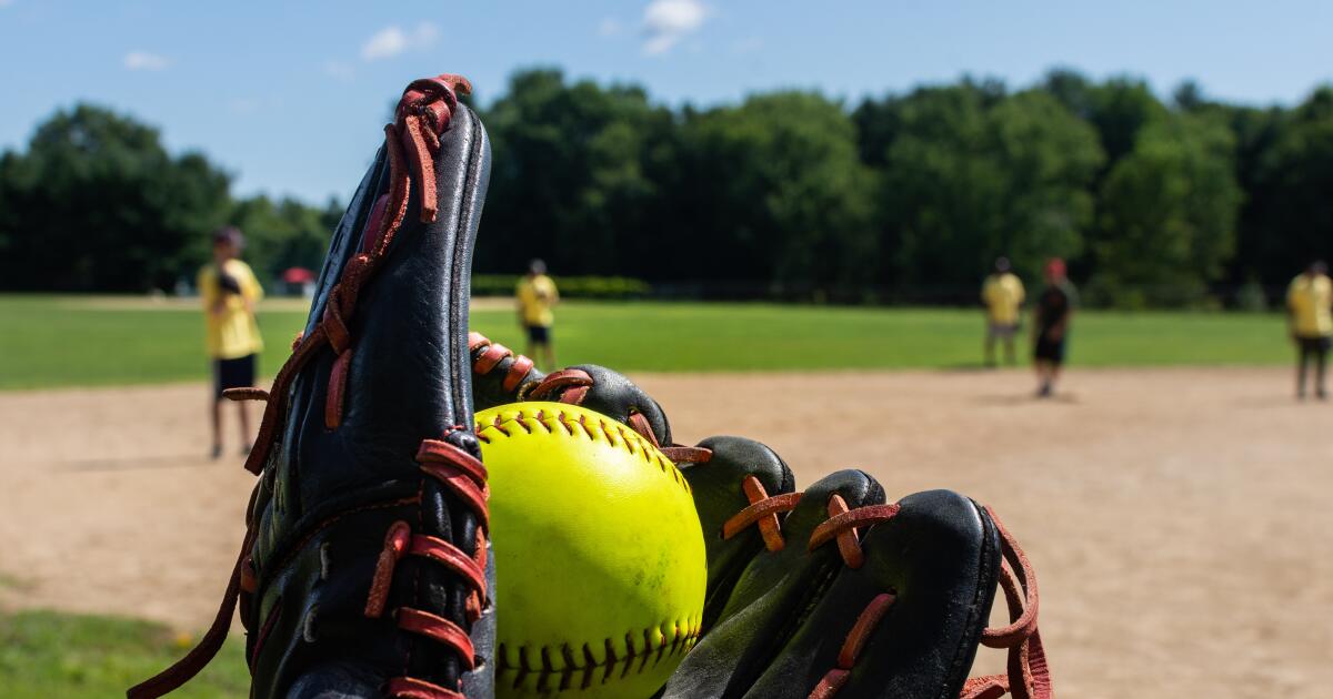 High school baseball and softball: Mondays scores