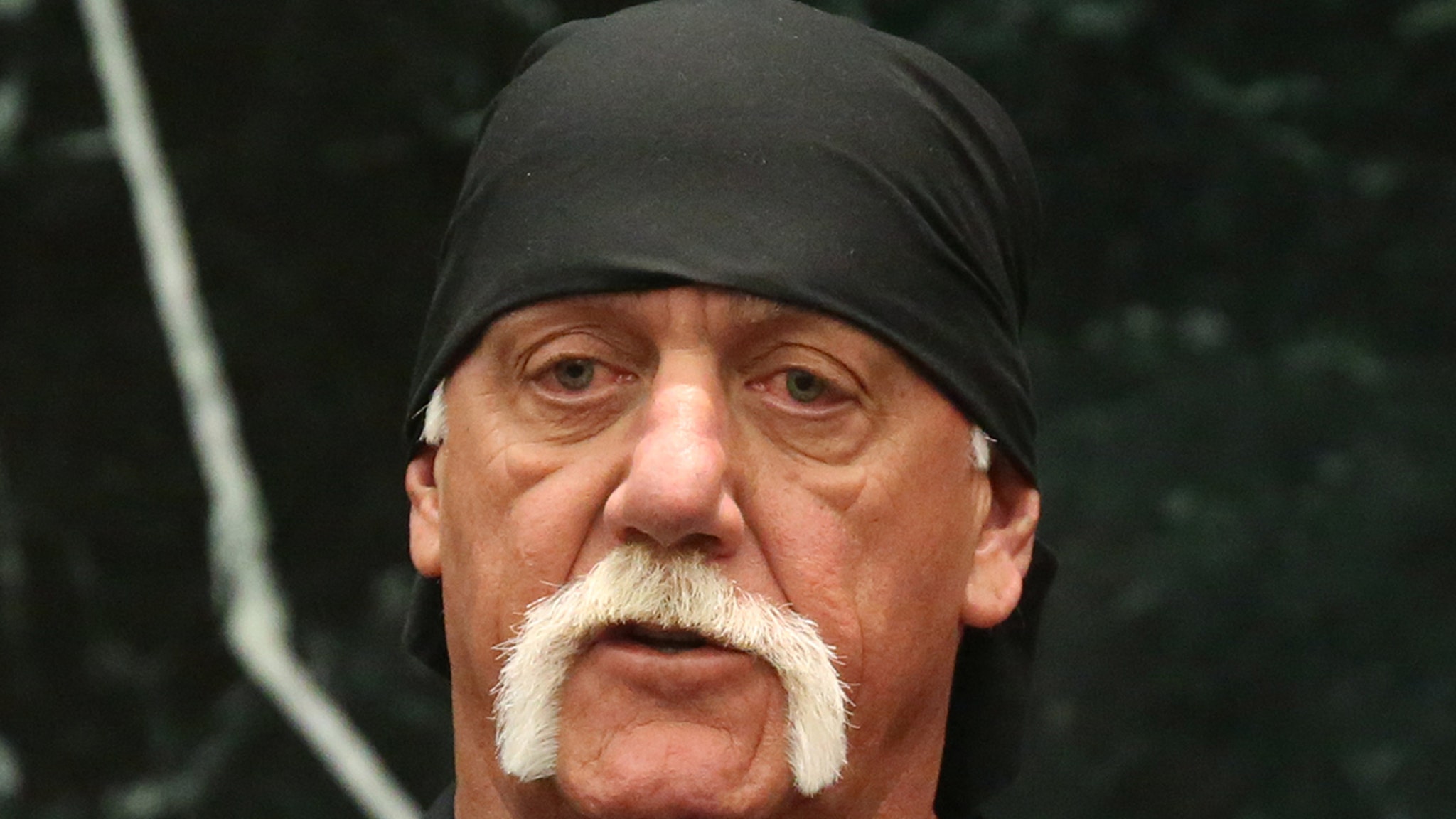 Hulk Hogan Took Lethal Amounts of Fentanyl Daily