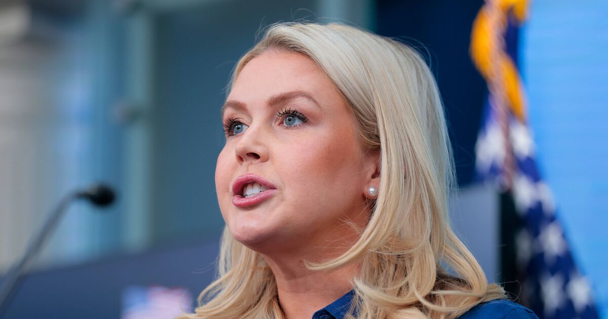 Karoline Leavitts crazy Trump admission as his