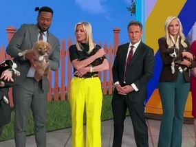 Major Fox News show thrown into chaos as viewers ask | Latest US News