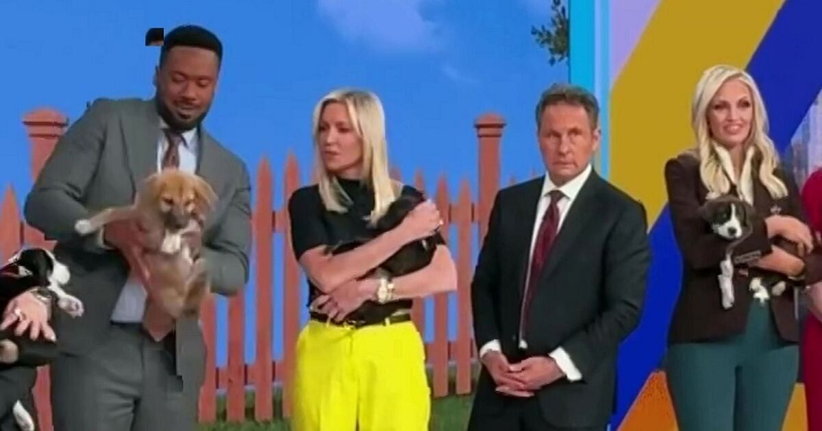 Major Fox News show thrown into chaos as viewers | TV Shows