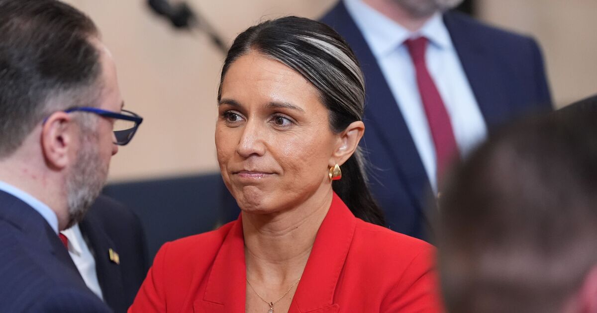 White House breaks silence on reports of Gabbards