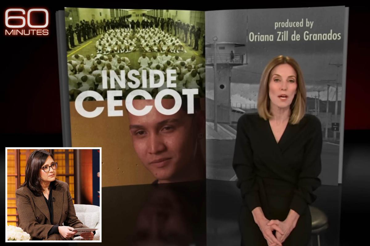 '60 Minutes' journo Sharyn Alfonsi loses CBS News | Gossip Wire