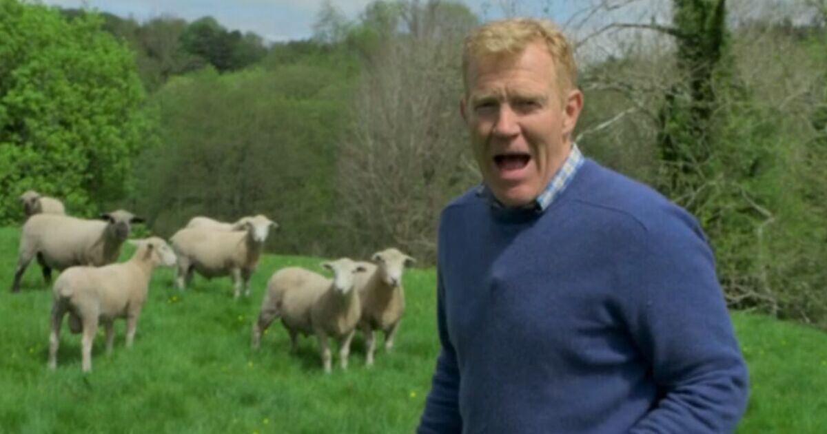 Countryfile’s Adam Henson shares concerns for livestock | UK News