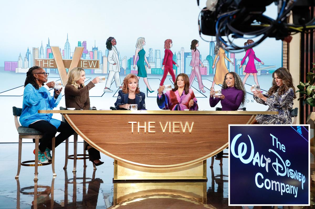 Disney claims 'The View' is 'bona fide news' akin
