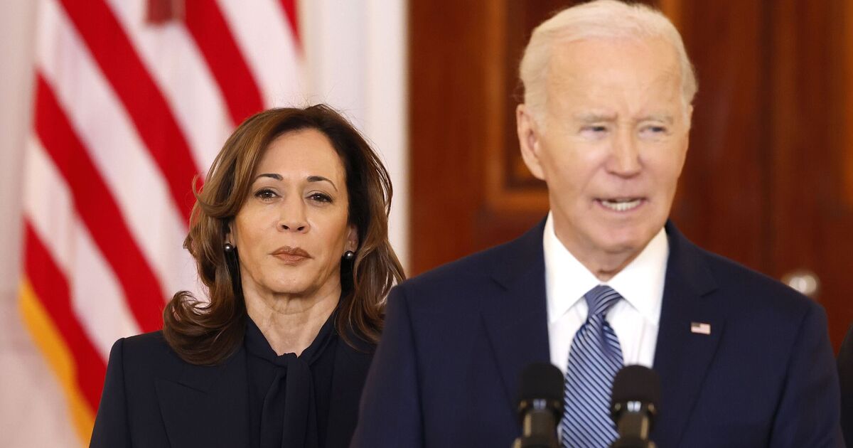 DNC's 2024 election autopsy finds Biden didn't | Political News