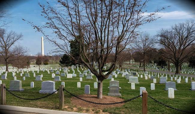 Gold Star Wife Asked for Photos of Her Husband's