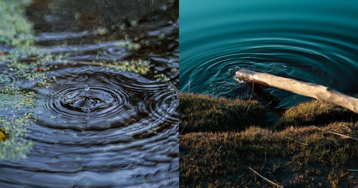 Can The Ripple Banking License Serve To Push The