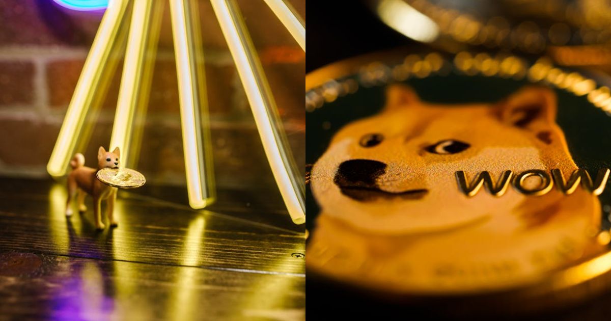 Dogecoin Rally Loading? Analyst Eyes ‘Imminent