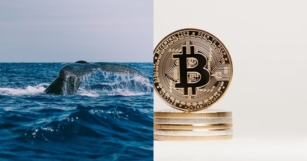 Bitcoin Whale-Retail Delta Drops To ETF-Era Lows
