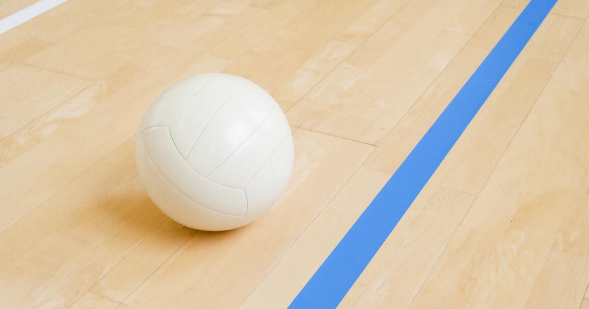 High school boys volleyball: City Section Saturday