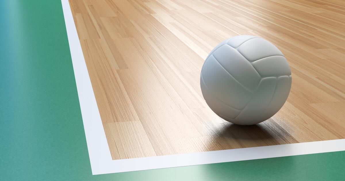 High school boys' volleyball: State championship
