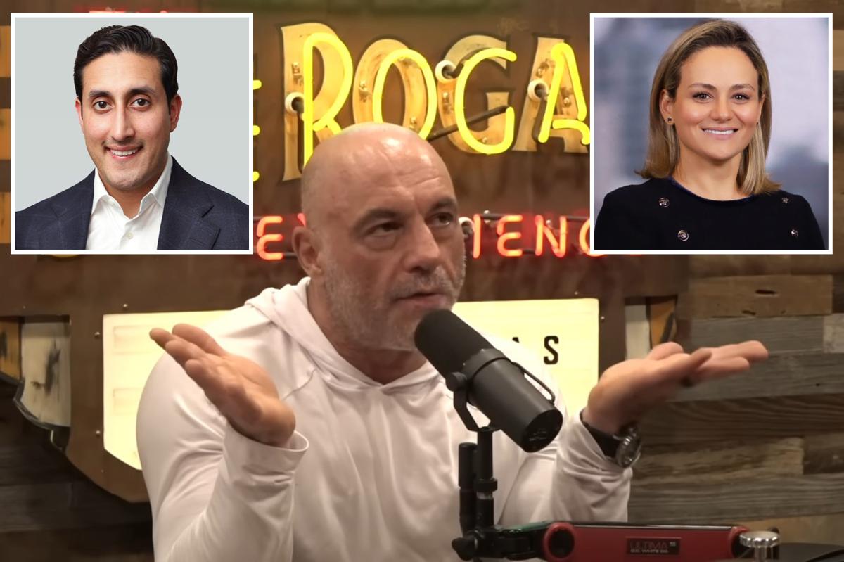 Joe Rogan rips ex-JPMorgan banker Chirayu Rana | Gossip Wire