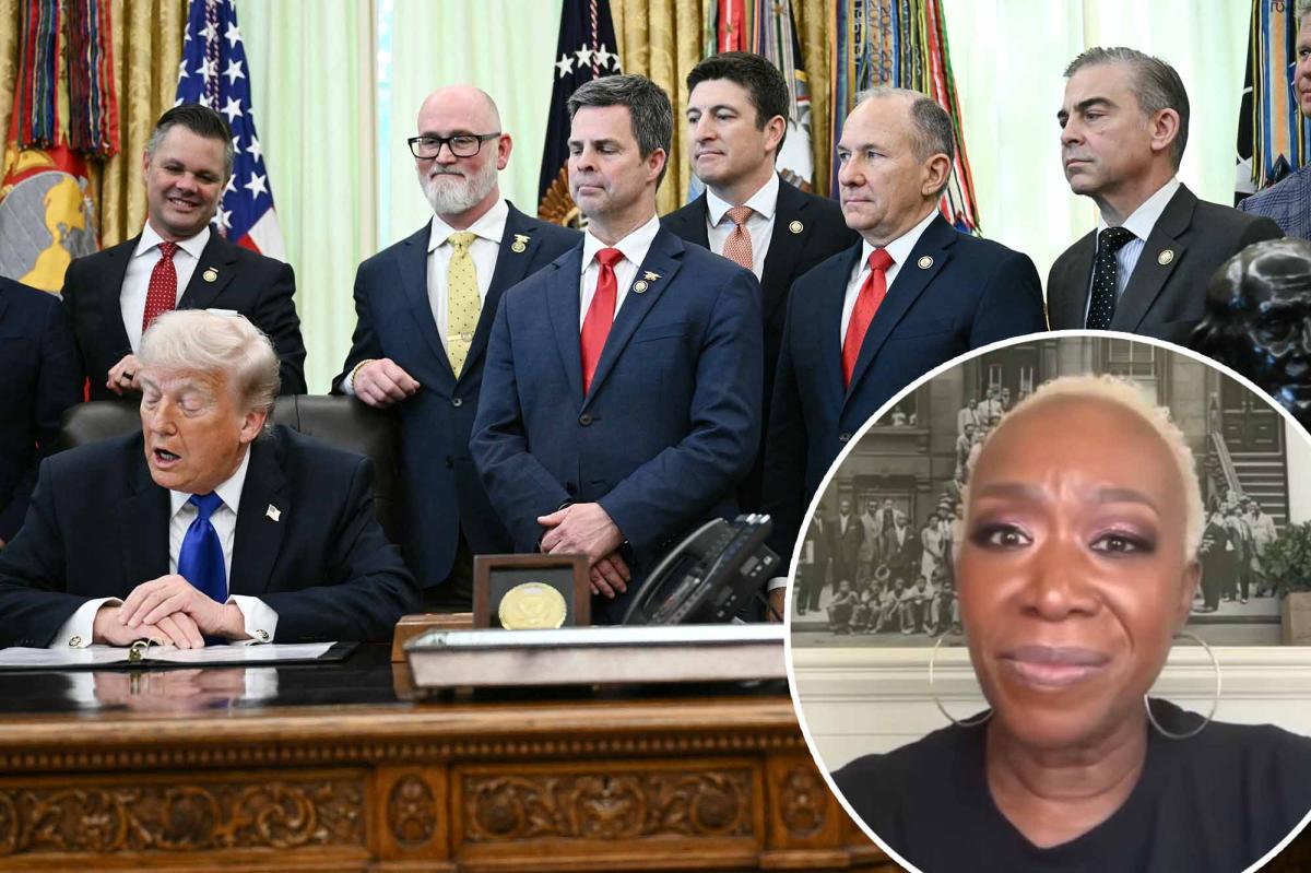 Joy Reids podcast guest says America coddles | Gossip Wire