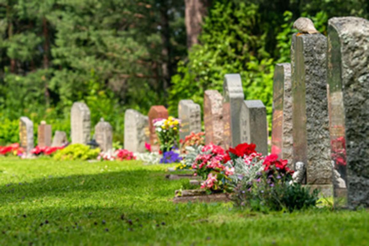 Our mother died on my sons birthday and my | Lifestyle News