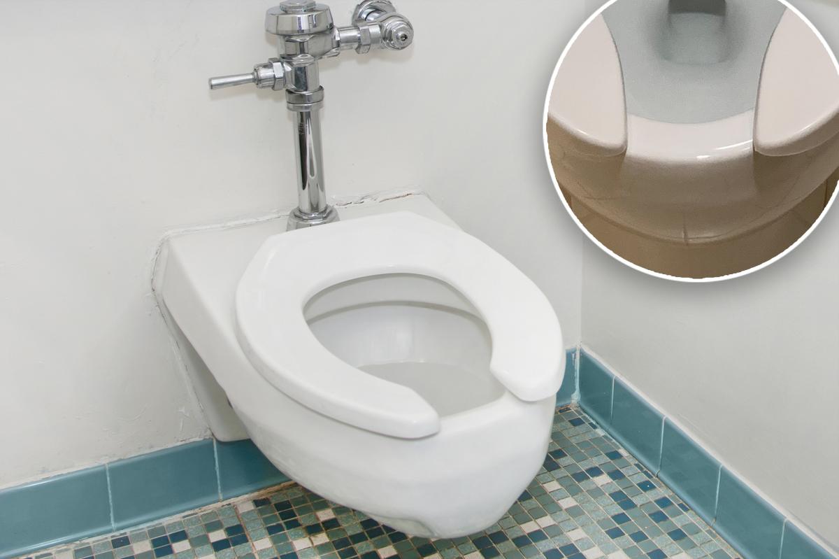 Reason public toilet seats have gaps in them | Lifestyle News