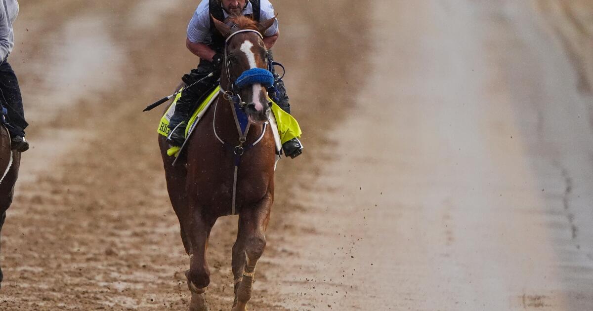 Right to Party becomes third Kentucky Derby