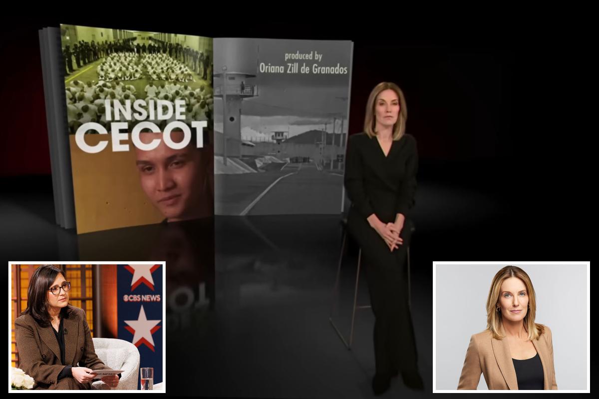 60 Minutes journo Sharyn Alfonsi rips corporate | Gossip Wire
