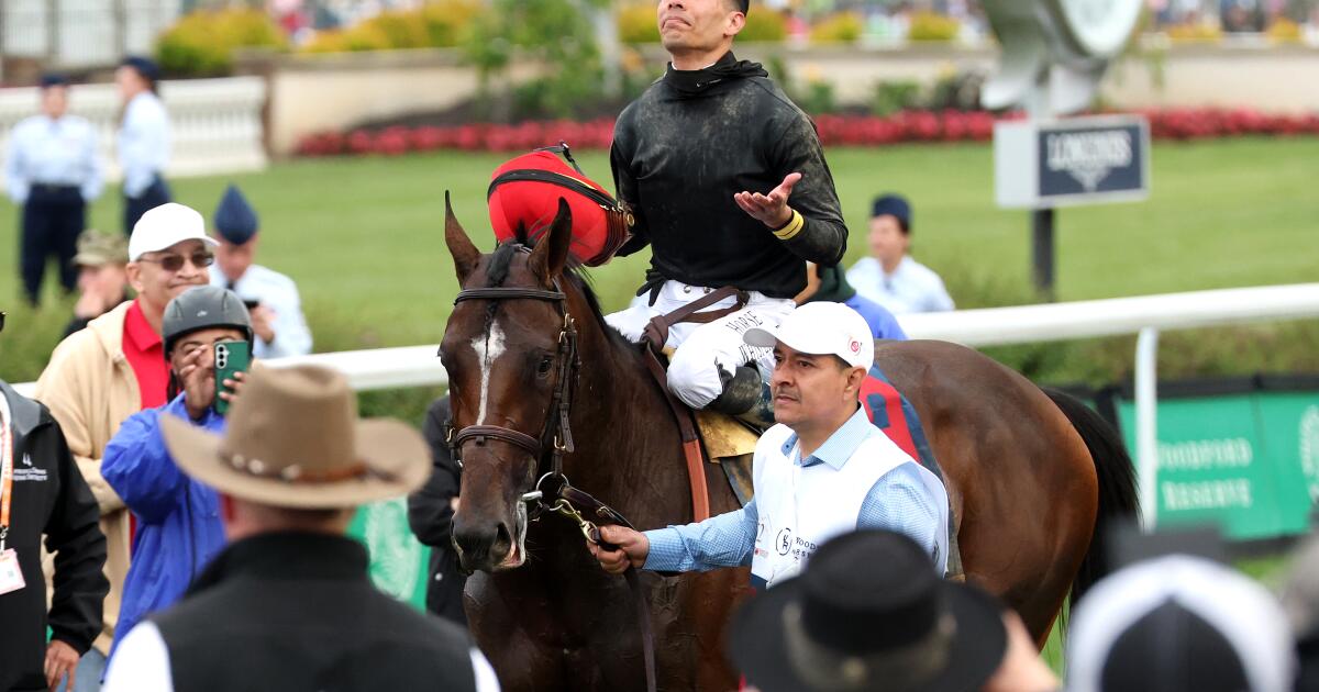 Dodgers pitcher, horse racing jockeys linked to
