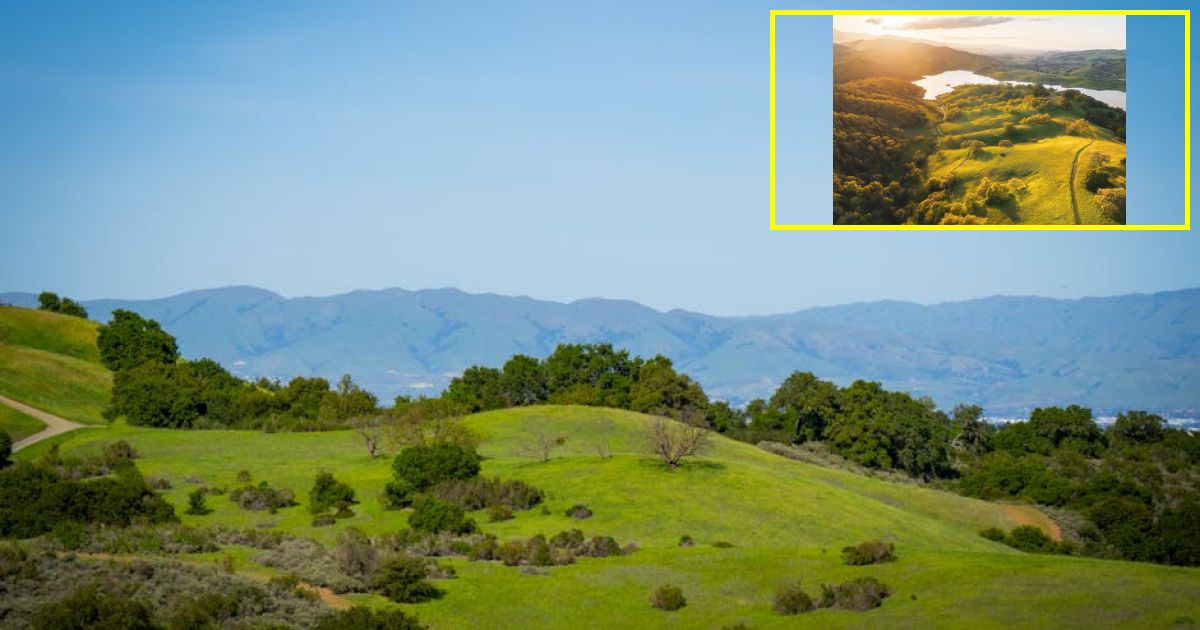 Santa Clara County sues Meta for actively scamming Californians
