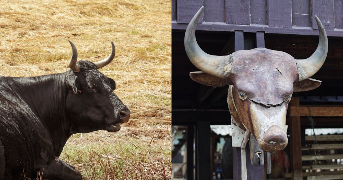 Solana To $500? Why Bulls Think AI Could Change