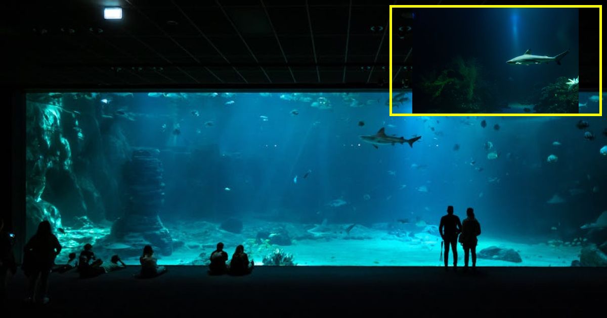 Shark Tank mogul Kevin OLearys massive new data center enrages Utah residents: Shame!