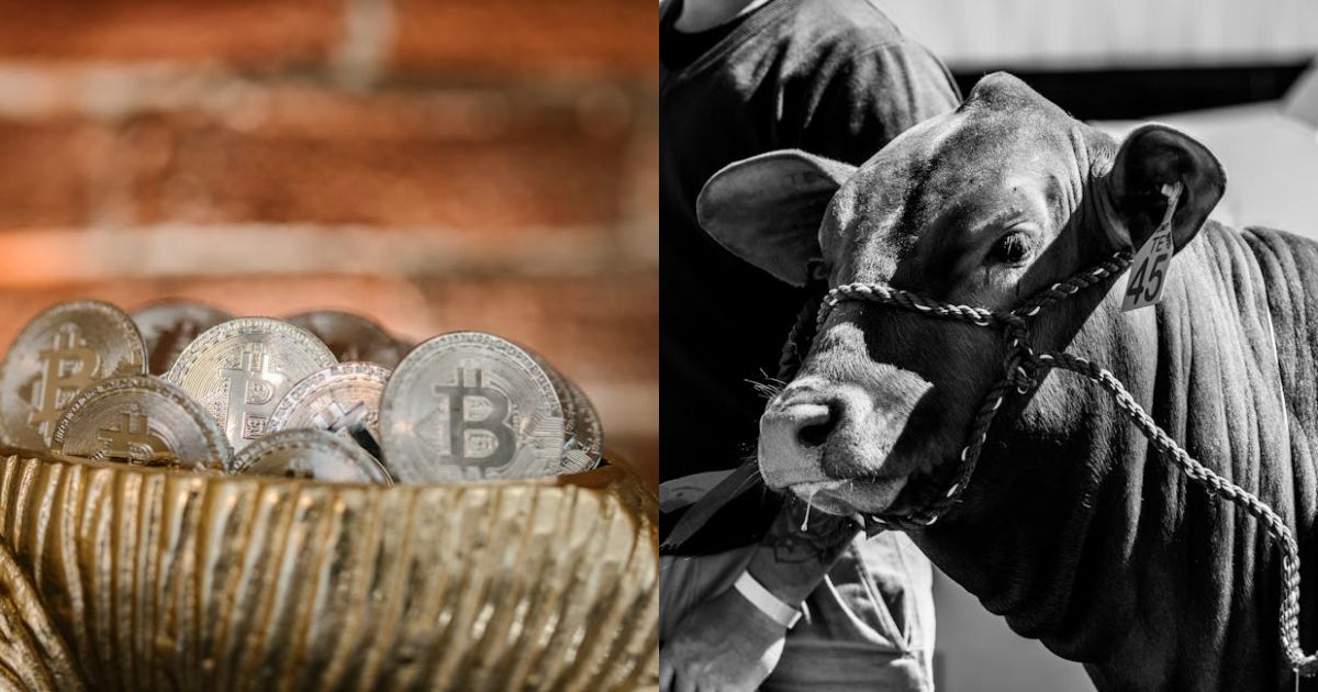 Bitcoin Bulls Show Signs Of Exhaustion Around