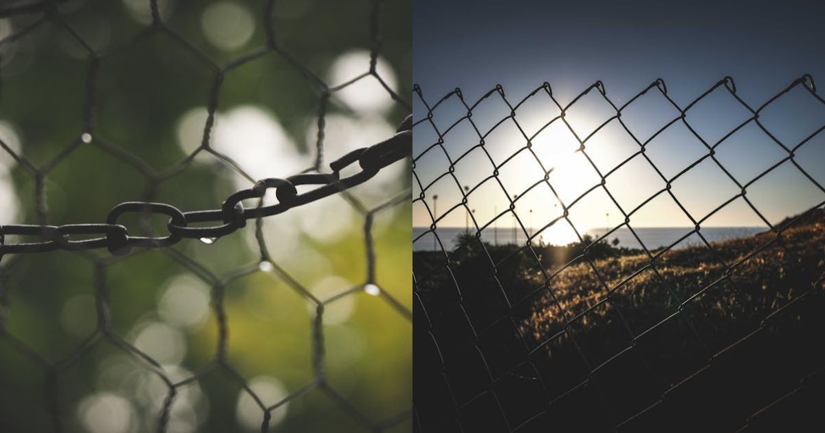 Chainlink Continues Leading The Oracle Economy