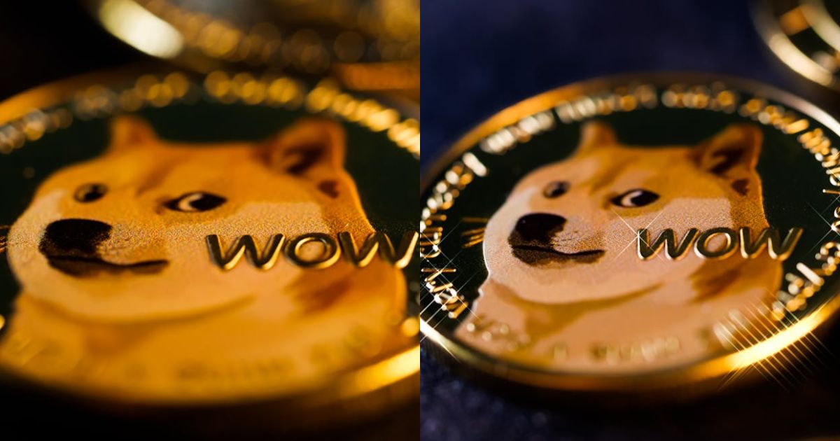 Dogecoin ETFs Wake Up With Strongest Inflows Since