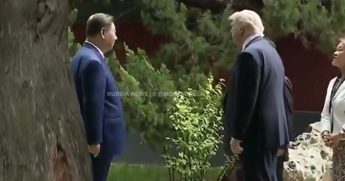 Xi Jinping flatters Trump during 'extremely rare' | Political News